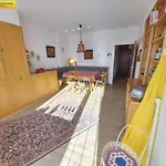 Adam Apartment
